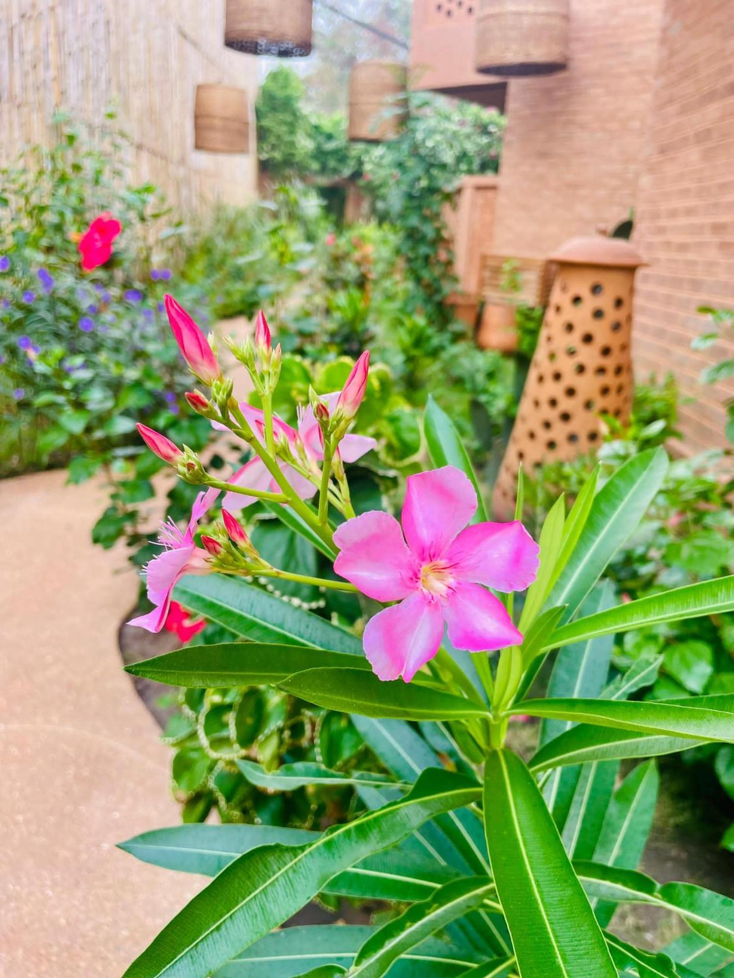 Le Patio Otel Lomé Dış mekan fotoğraf