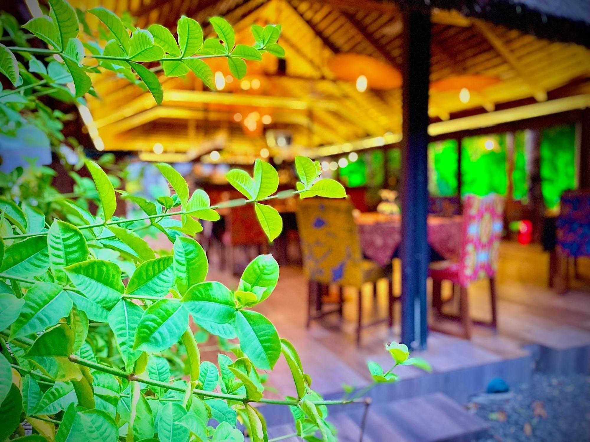 Le Patio Otel Lomé Dış mekan fotoğraf